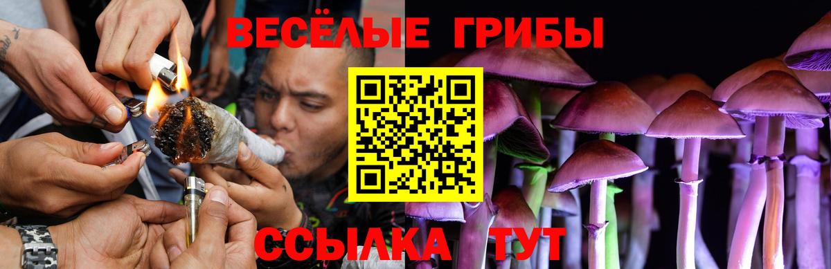 Якутск  Псилоцибиновые грибы Cubensis  Вход с VPN 